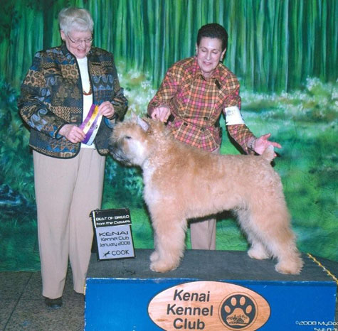 Luci Best of Breed Jan 08