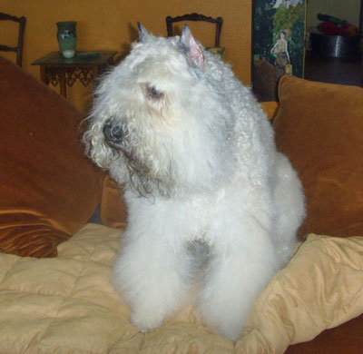 Meryn, November 08