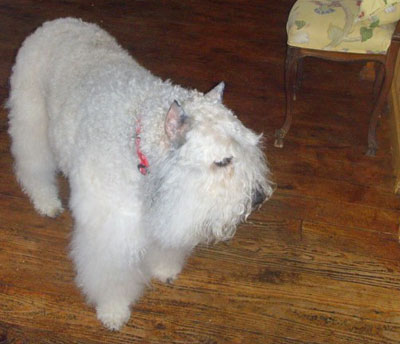 Meryn, November 08