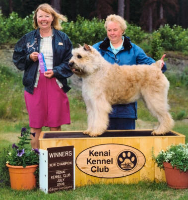 Sorbet - a new Champion - Kenai KC July 2006