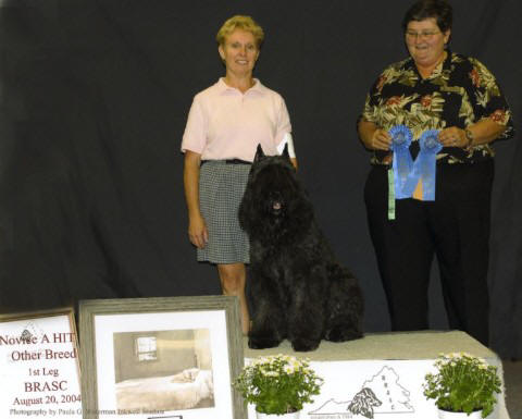Shadow take HIT at ASCA Trial 2004