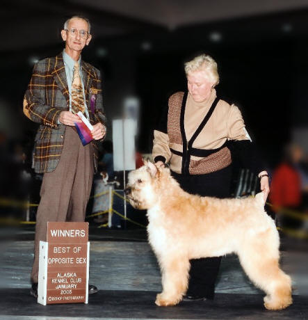Vineta & Sorbet - Best of Winners January 2005